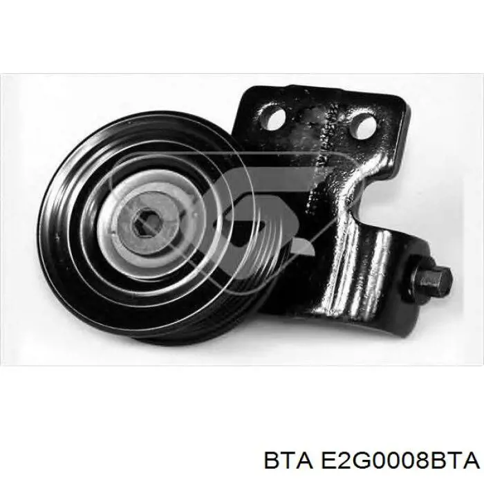 Comprar E2G0008BTA BTA Polea tensora, correa poli V