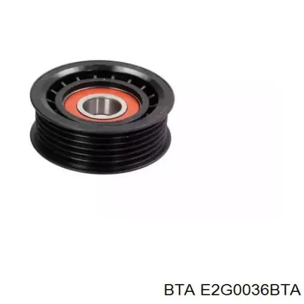 E2G0036BTA BTA Polea tensora