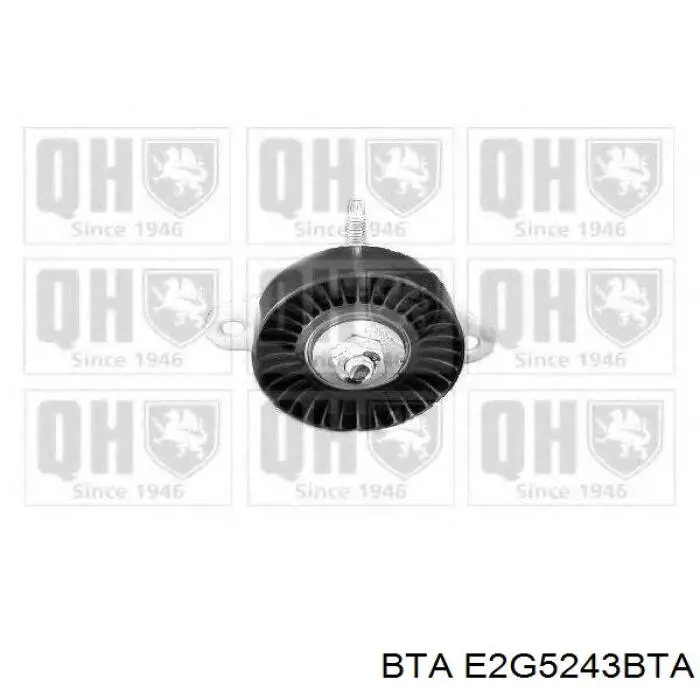 Rodillo tensor BTA E2G5243BTA