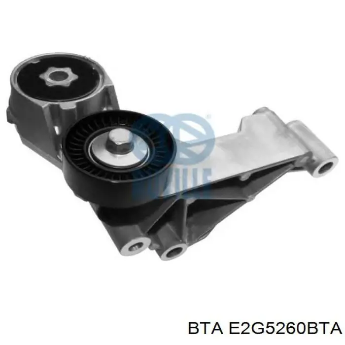 Rodillo tensor correa poli V BTA E2G5260BTA precio, desde 14,94 EUR
