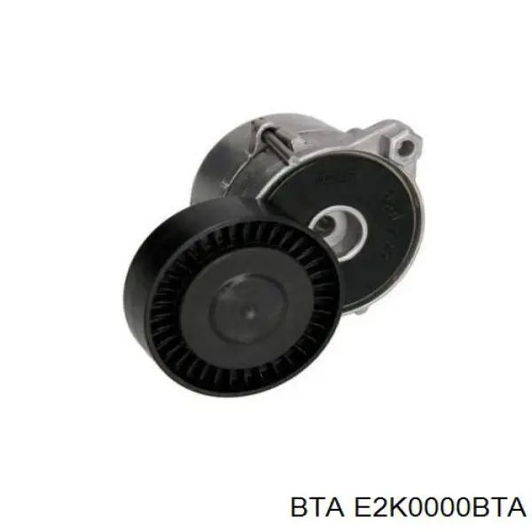 Rodillo tensor correa poli V BTA E2K0000BTA precio, desde 13,56 EUR