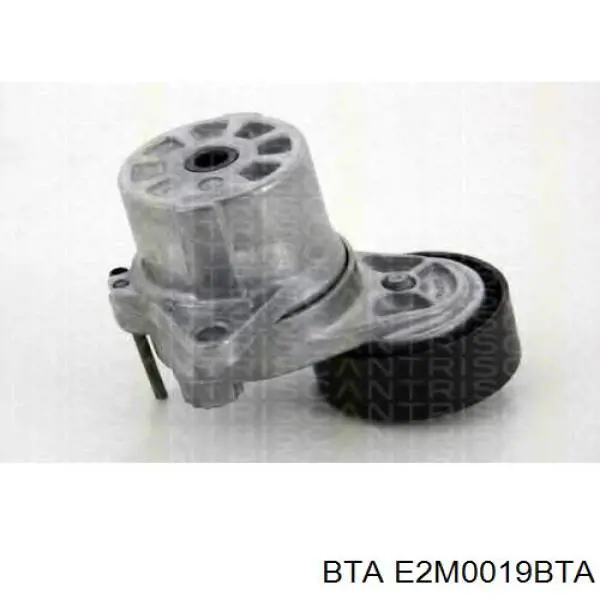 Polea tensora correa poli V E2M0019BTA BTA