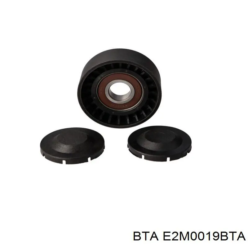 E2M0019BTA BTA Polea tensora
