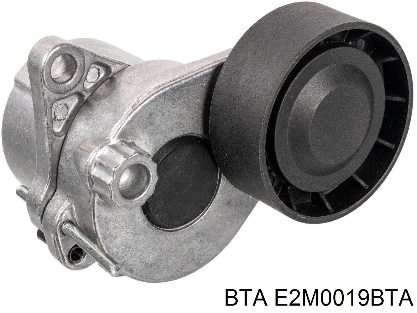 Comprar E2M0019BTA BTA Polea tensora, correa poli V