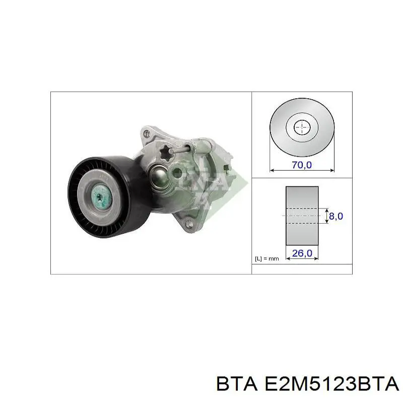 Rodillo tensor BTA E2M5123BTA