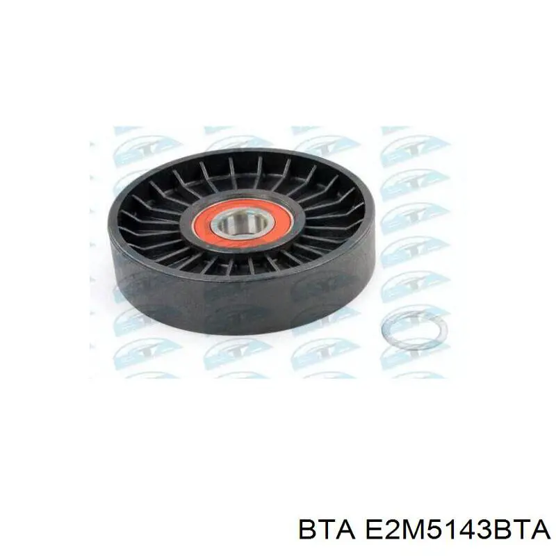 Rodillo tensor correa poli V BTA E2M5143BTA precio, desde 17,06 EUR
