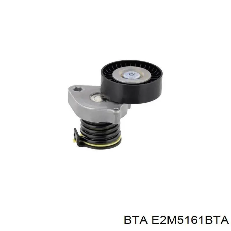 Rodillo tensor correa poli V BTA E2M5161BTA precio, desde 16,38 EUR