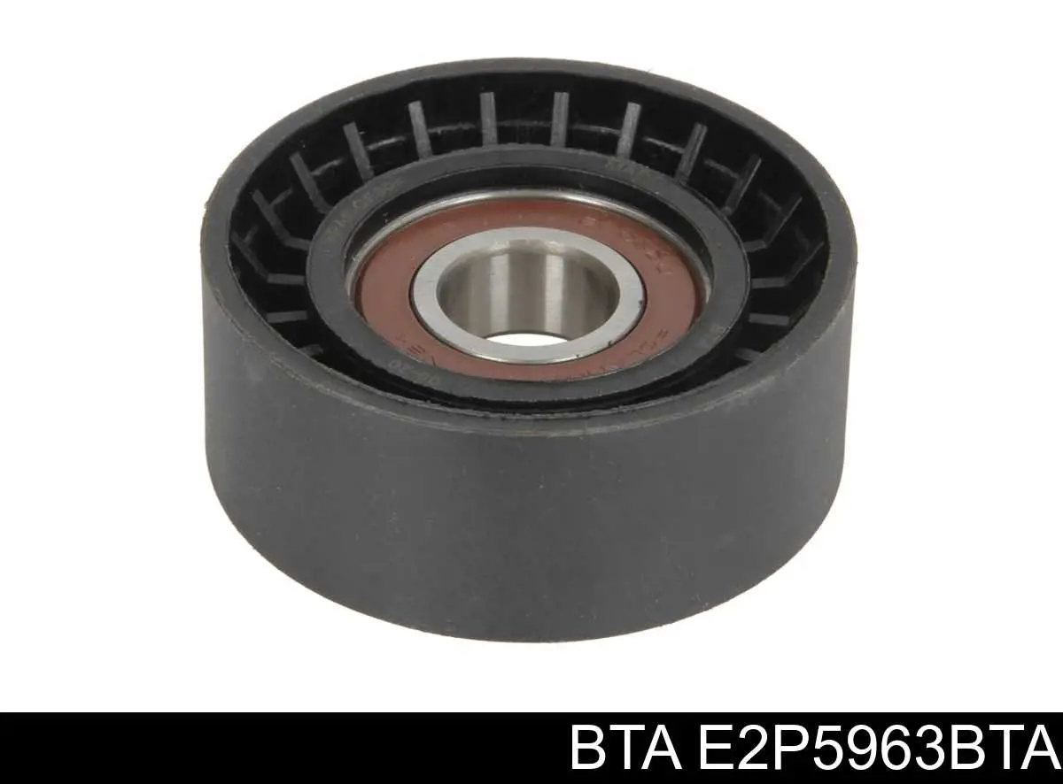 Rodillo tensor correa poli V BTA E2P5963BTA precio, desde 14,34 EUR