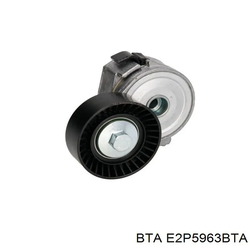 Comprar E2P5963BTA BTA Polea tensora, correa poli V