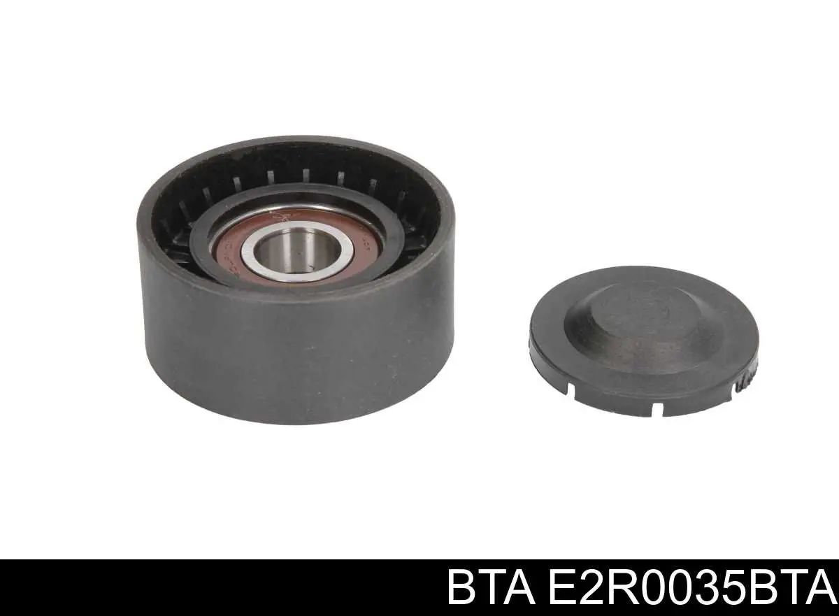 Rodillo tensor correa poli V BTA E2R0035BTA precio, desde 16,30 EUR