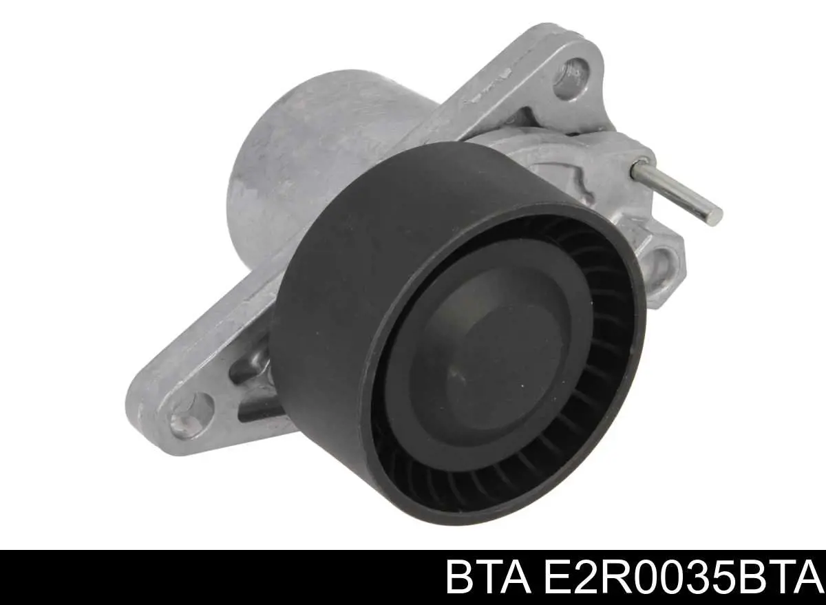 Comprar E2R0035BTA BTA Polea tensora, correa poli V