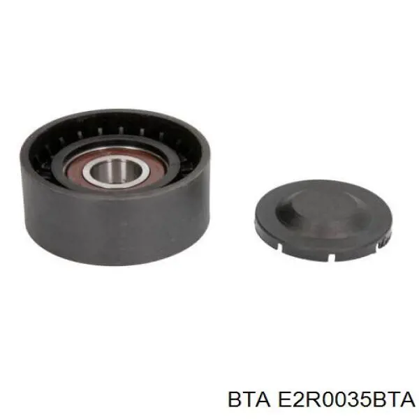 Polea tensora correa poli V E2R0035BTA BTA