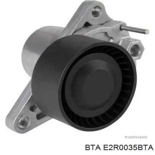 E2R0035BTA BTA Polea tensora
