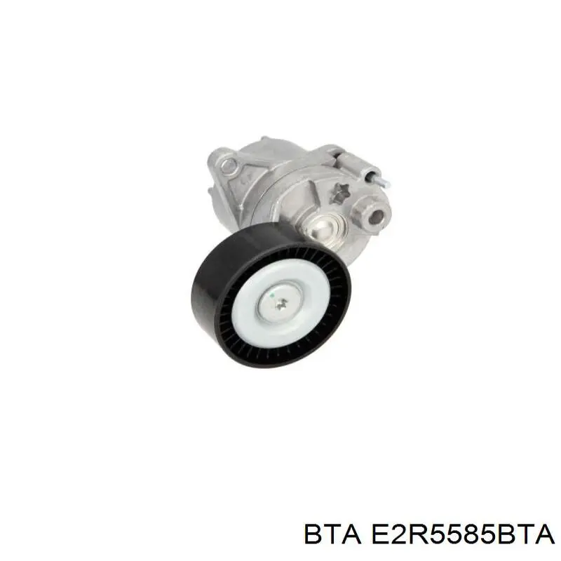 Rodillo, correa trapecial poli V Renault Master 2 HD, FD