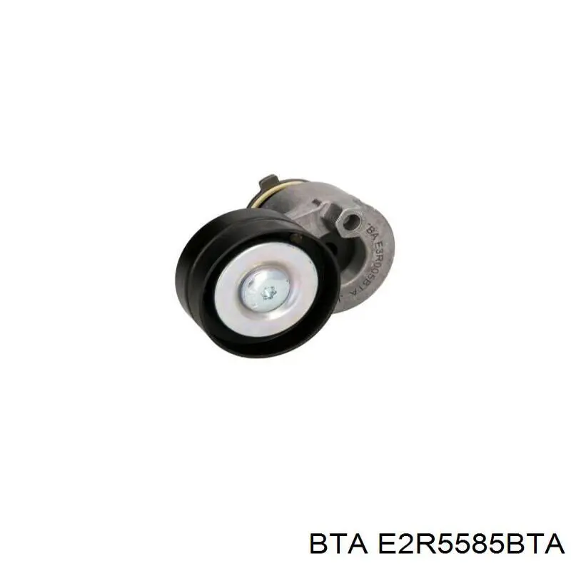 Rodillo, correa trapecial poli V Renault Master 2 HD, FD