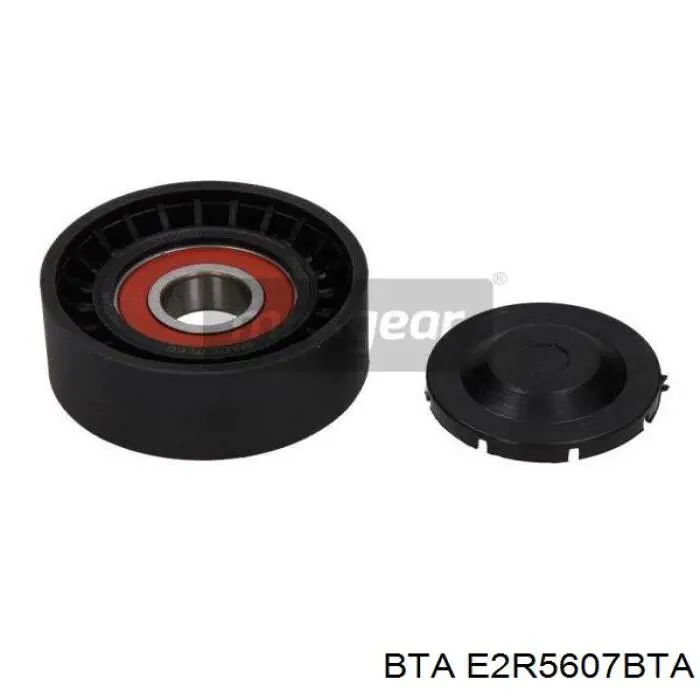 Rodillo, correa trapecial poli V Renault Kangoo 2 FW0