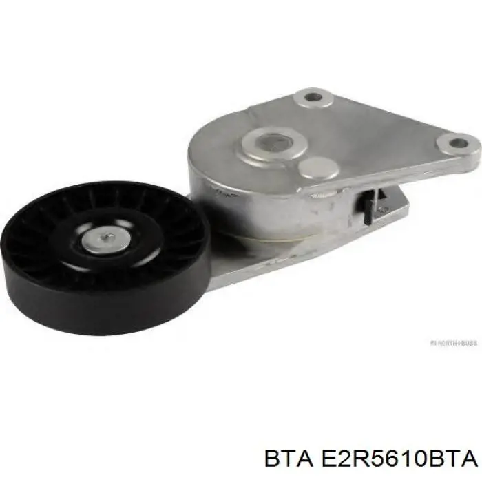 Comprar E2R5610BTA BTA Polea tensora, correa poli V
