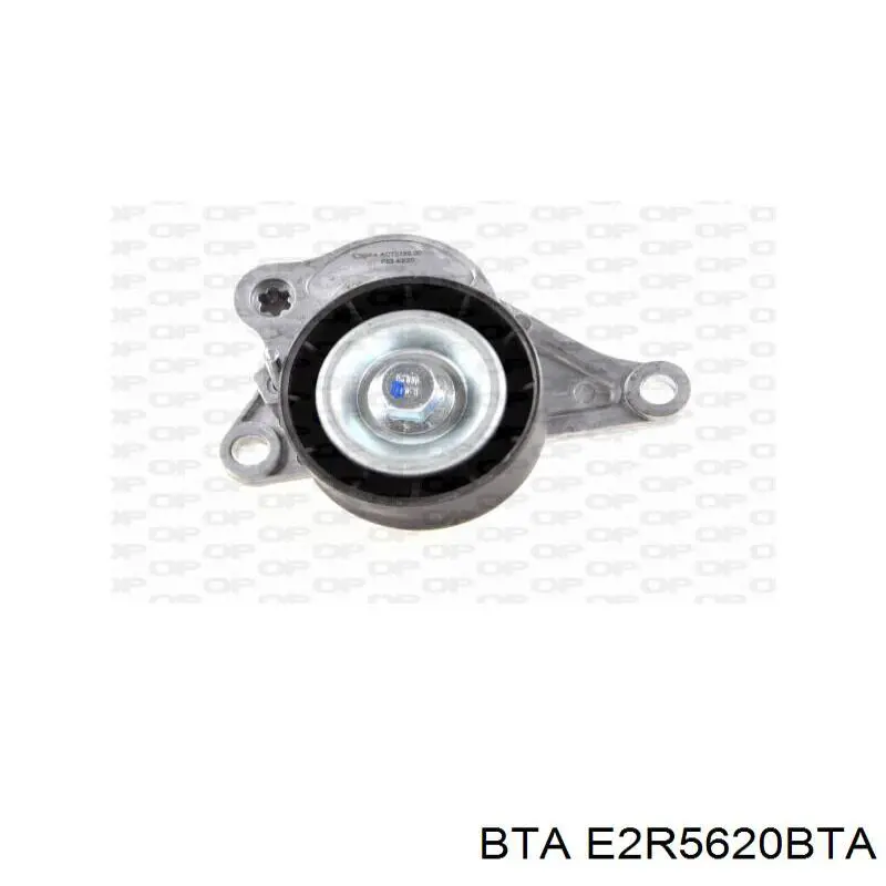 Rodillo, correa trapecial poli V Renault Espace 4 JK0