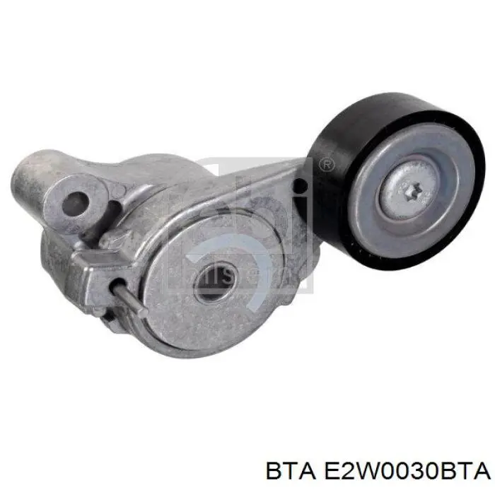 Rodillo, correa trapecial poli V Volkswagen Tiguan 1 5N1, 5N2