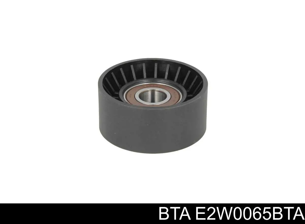 E2W0065BTA BTA Polea tensora