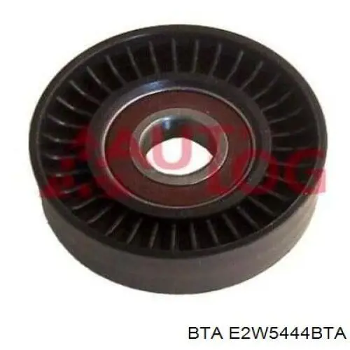 Rodillo tensor correa poli V BTA E2W5444BTA precio, desde 12,19 EUR