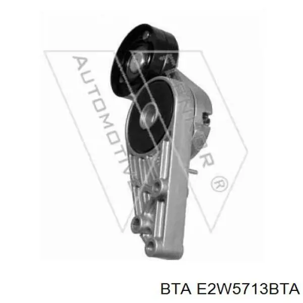 Comprar E2W5713BTA BTA Polea tensora, correa poli V