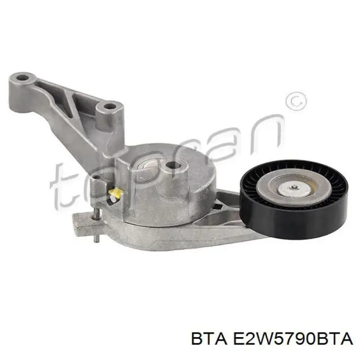 Tensor de la correa trapecial BTA E2W5790BTA precio, desde 24,35 EUR