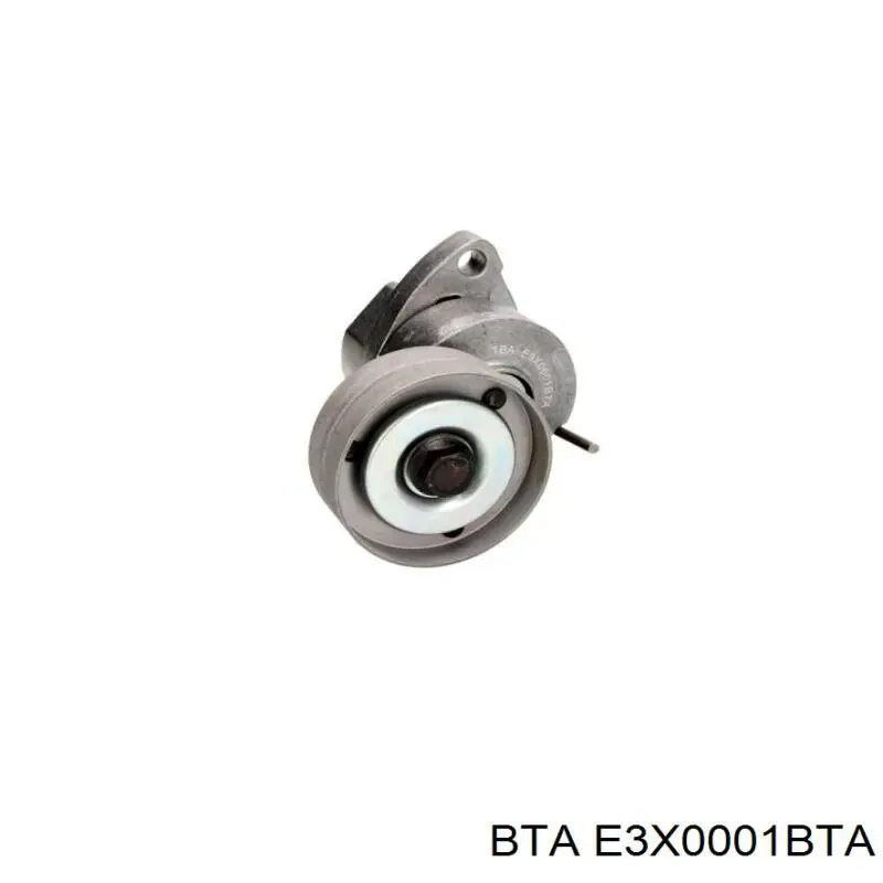 Tensor de correa poli V E3X0001BTA BTA
