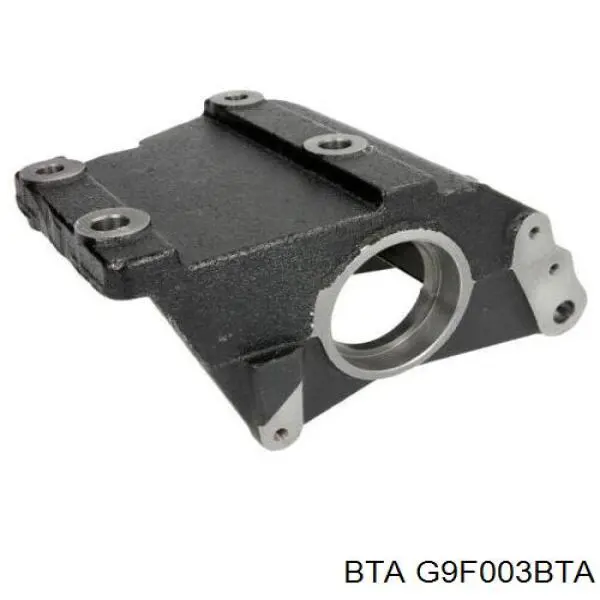 Soporte De Rodamiento Externo Del Eje Delantero Renault Master 2 (HD, FD)