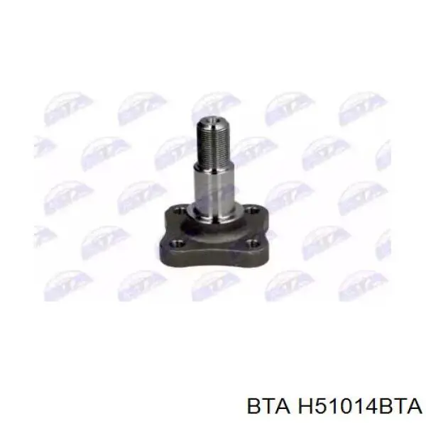 Mangueta trasera BTA H51014BTA precio, desde 20,01 EUR
