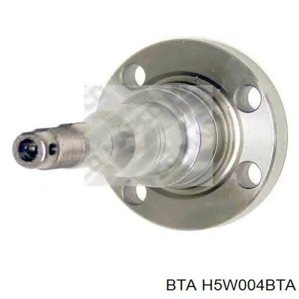 Mangueta trasera BTA H5W004BTA