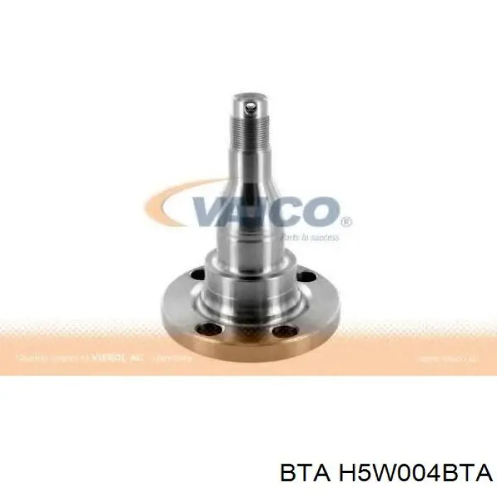 Mangueta trasera H5W004BTA BTA