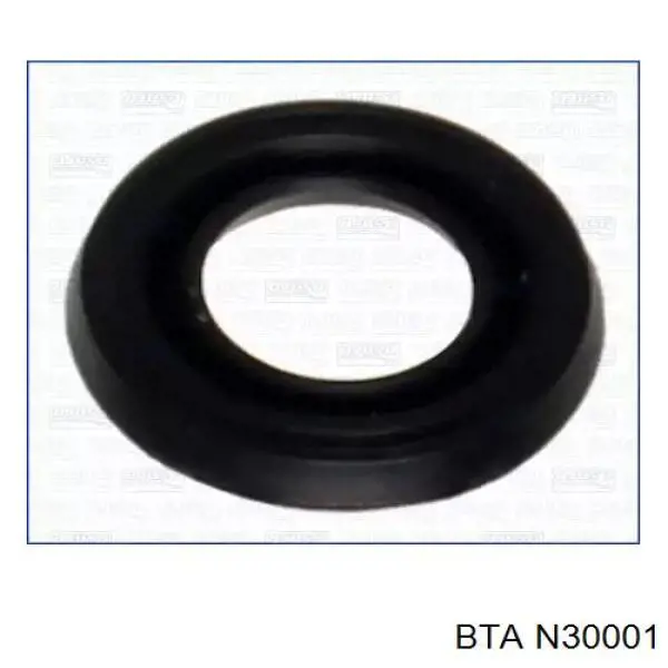 N30001 BTA sello de aceite de valvula (rascador de aceite Entrada/Salida)
