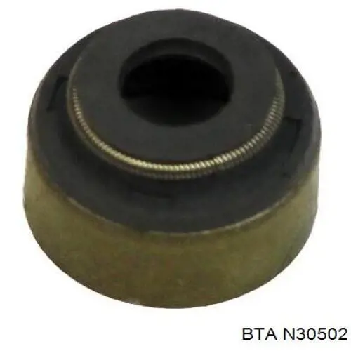 N30502 BTA sello de aceite de valvula (rascador de aceite Entrada/Salida)