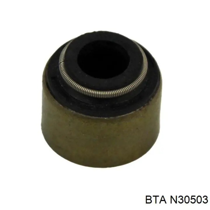 N30503 BTA sello de aceite de valvula (rascador de aceite Entrada/Salida)