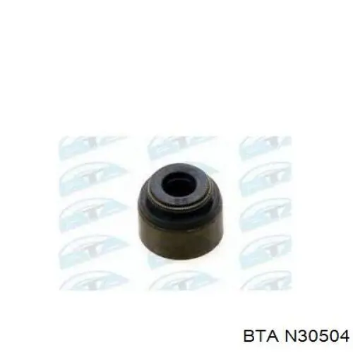 N30504 BTA sello de aceite de valvula (rascador de aceite Entrada/Salida)