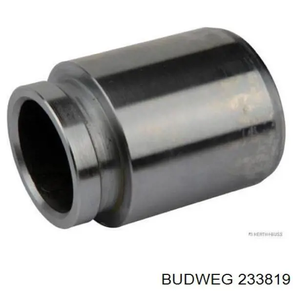 Émbolo de la pinza de freno trasera Toyota 4773107040 precio, desde 12,96 EUR