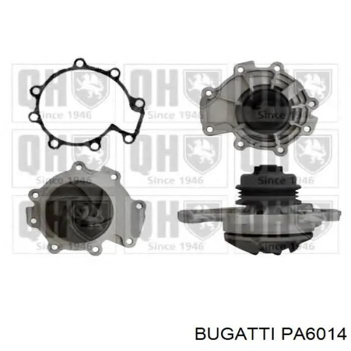 PA6014 Bugatti bomba de agua