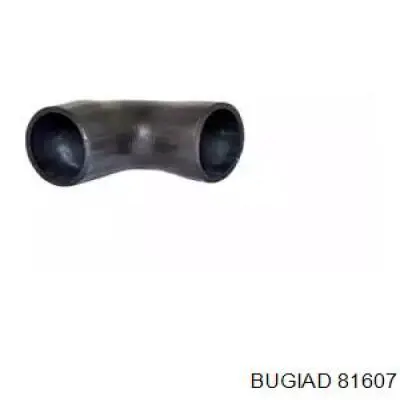 Manguera del intercooler Bugiad 81607 precio, desde 23,04 EUR