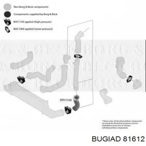 81612 Bugiad tubo flexible de aire de sobrealimentación izquierdo