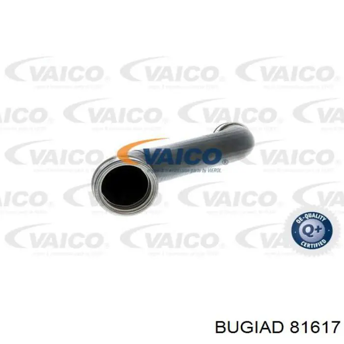 Comprar 2115282782 Mercedes Tubo intercooler