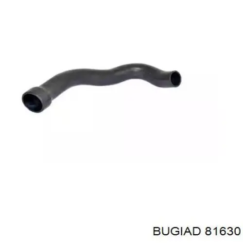 Manguera del intercooler Bugiad 81630 precio, desde 34,18 EUR