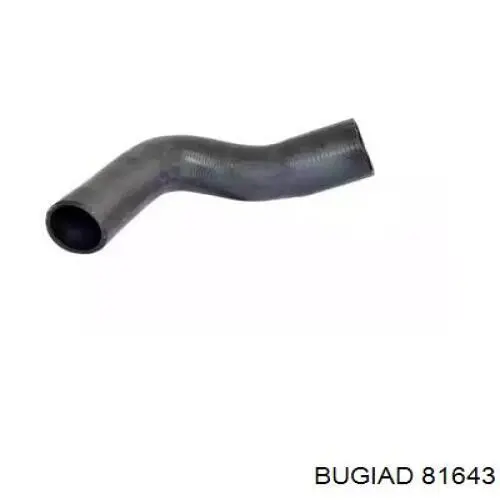 Manguera del intercooler Bugiad 81643 precio, desde 24,04 EUR