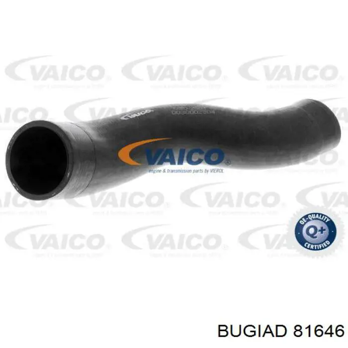 Manguera del intercooler Bugiad 81646 precio, desde 18,03 EUR