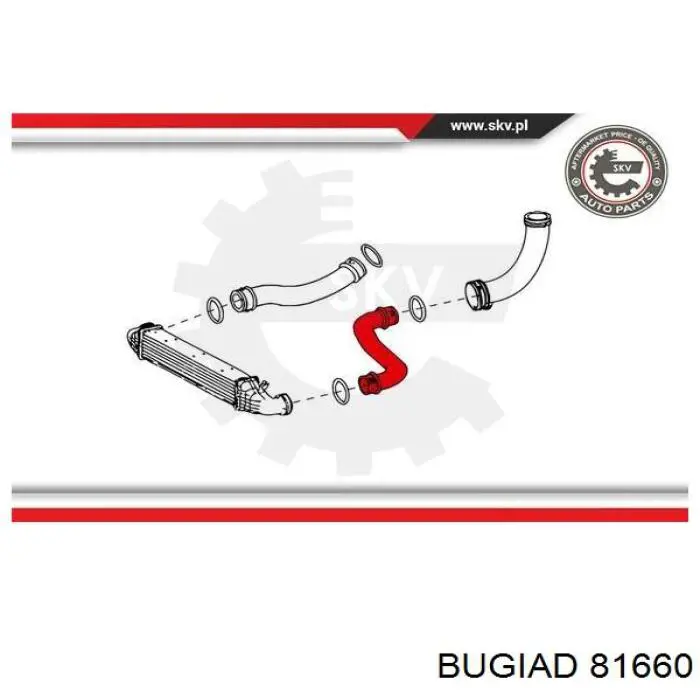 Comprar 2115284182 Mercedes Tubo intercooler