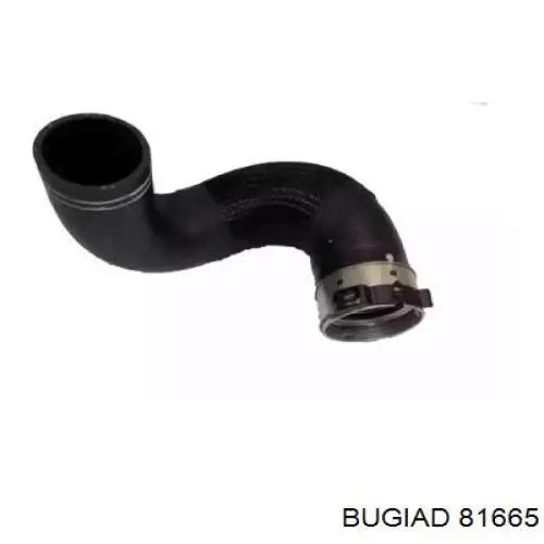 Manguera del intercooler Cautex 016787 precio, desde 44,03 EUR