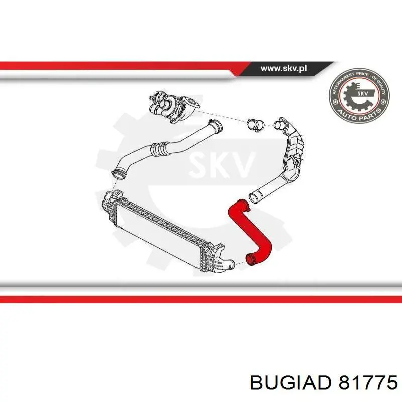 81775 Bugiad tubo flexible de aire de sobrealimentación izquierdo