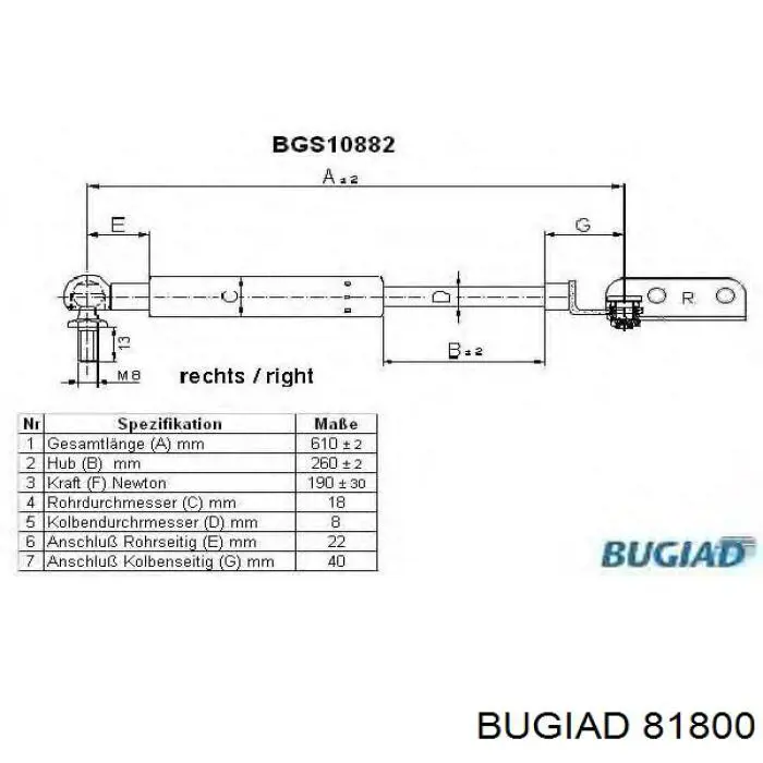 81800 Bugiad tubo flexible de aire de sobrealimentación izquierdo