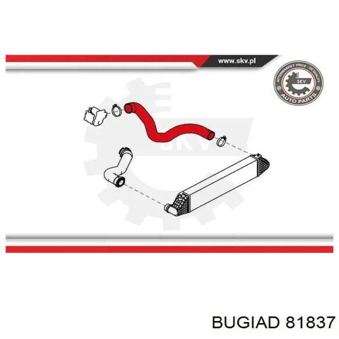 81837 Bugiad tubo flexible de aire de sobrealimentación izquierdo