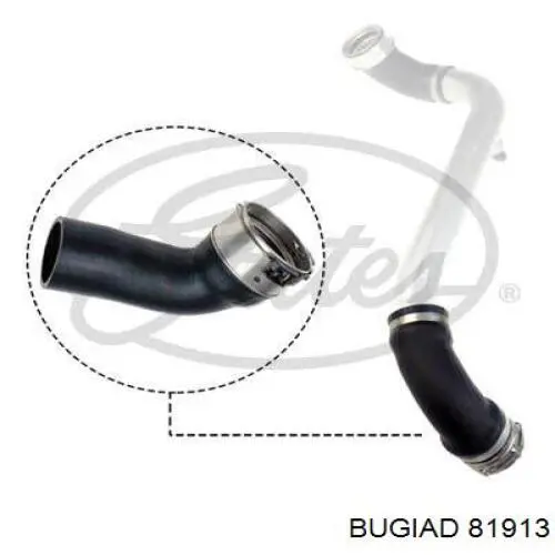 206029 Cautex Manguera del intercooler